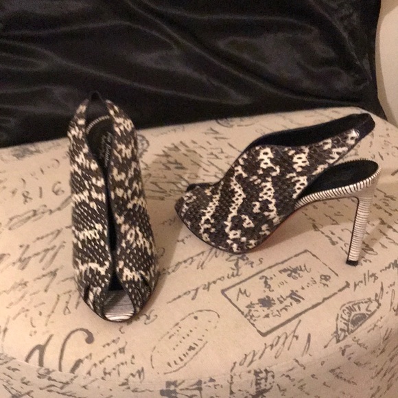 Meet your Posher, Alethea - Picture 2 of 2